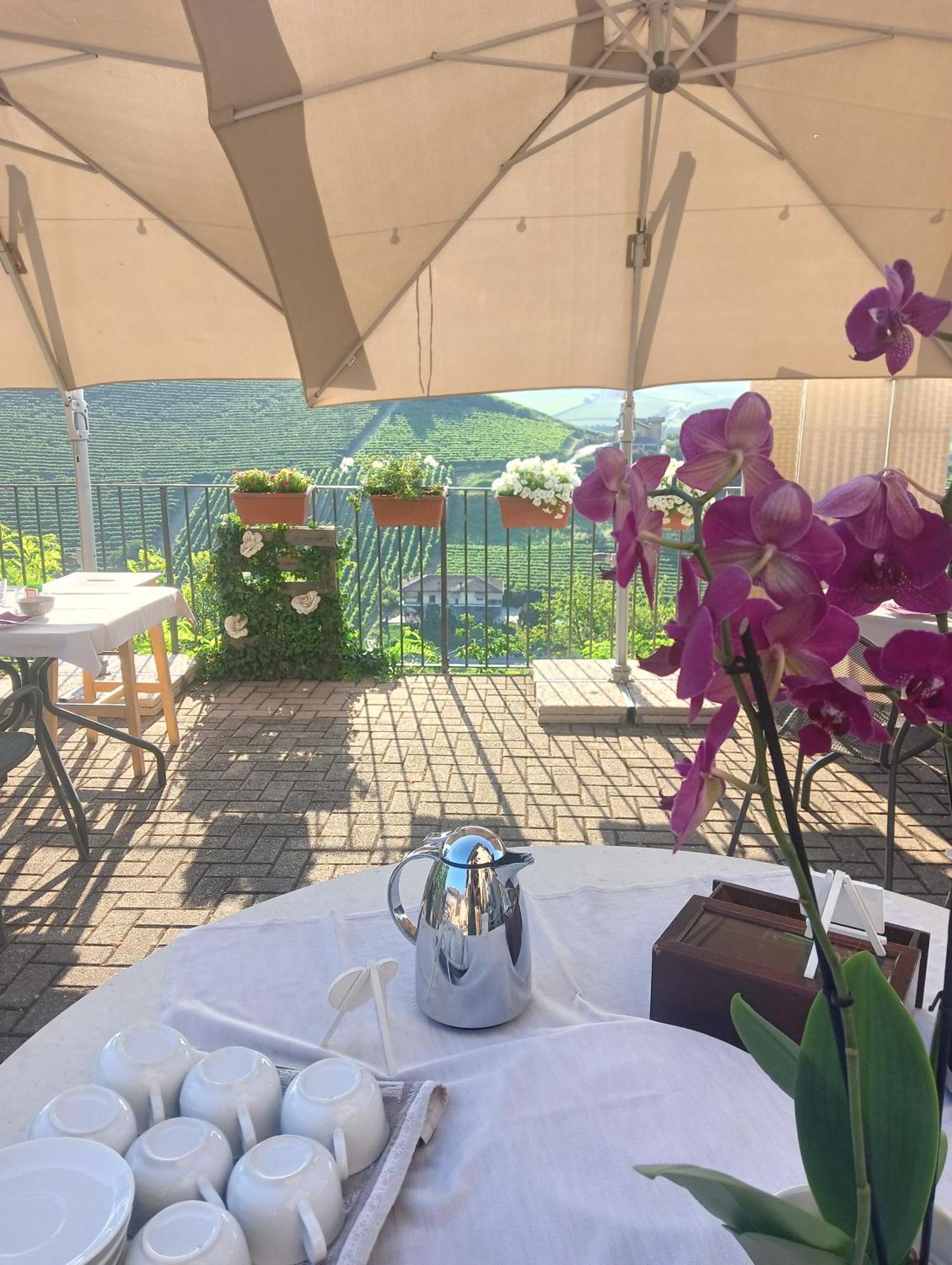 Il Borgo B&B Castellinaldo Екстериор снимка